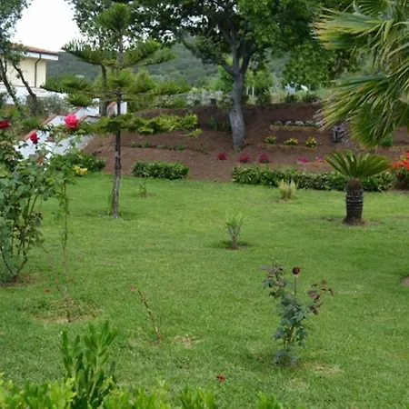 Bella Vista *