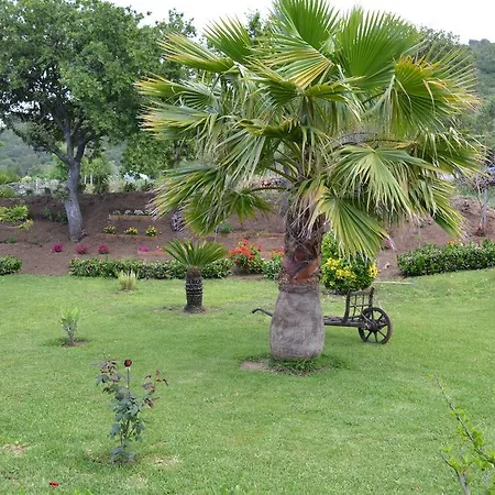 Bella Vista 公寓 圣多米尼卡